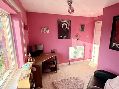 Picture 27